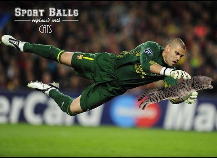 Los bichinos de la semana: el deporte nunca había molado tanto (FOTOS)