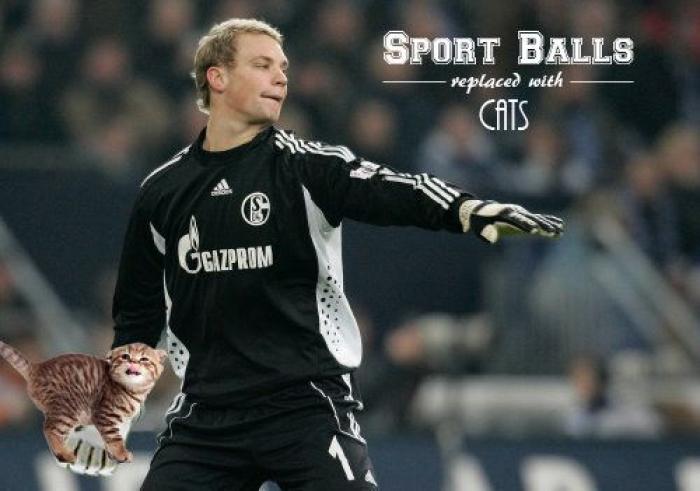 Los bichinos de la semana: el deporte nunca había molado tanto (FOTOS)