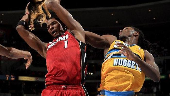 Los bichinos de la semana: el deporte nunca había molado tanto (FOTOS)