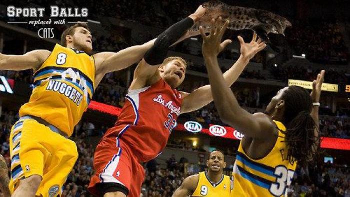 Los bichinos de la semana: el deporte nunca había molado tanto (FOTOS)