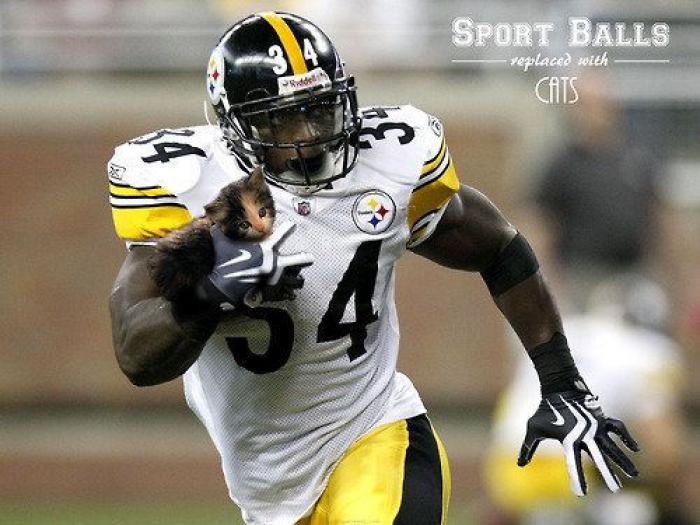 Los bichinos de la semana: el deporte nunca había molado tanto (FOTOS)