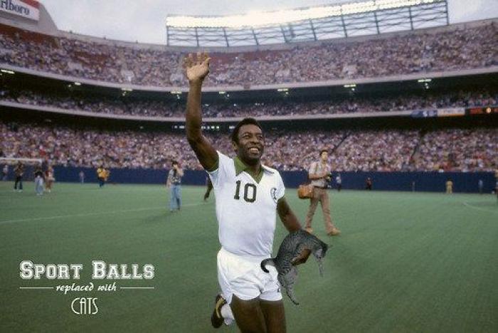 Los bichinos de la semana: el deporte nunca había molado tanto (FOTOS)