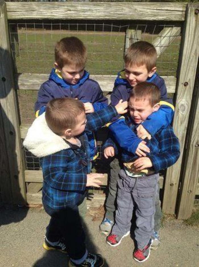 El divertido vídeo de una ecografía que muestra la pelea de dos gemelas