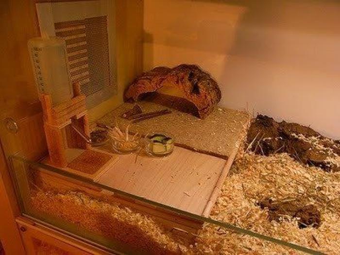 Ikea da las claves para diferenciar su bolsa Frakta de la 'copia' de Balenciaga