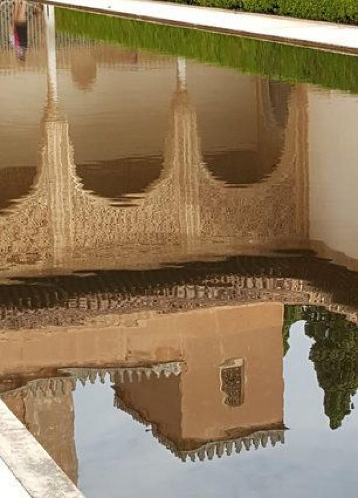 El mundo visto a través del agua: 10 impresionantes fotos de reflejos