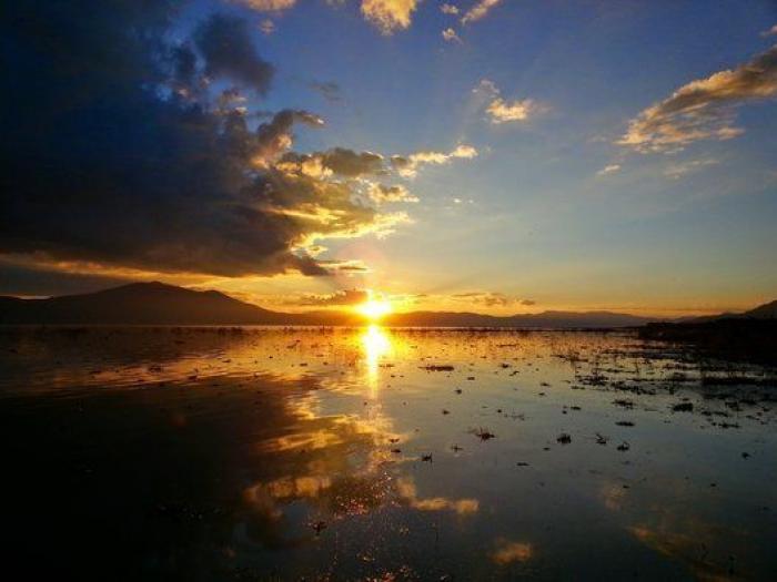 El mundo visto a través del agua: 10 impresionantes fotos de reflejos
