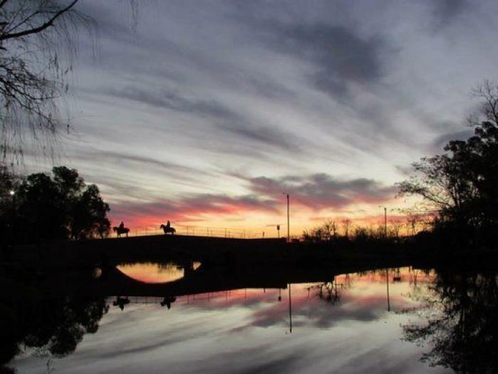 El mundo visto a través del agua: 10 impresionantes fotos de reflejos