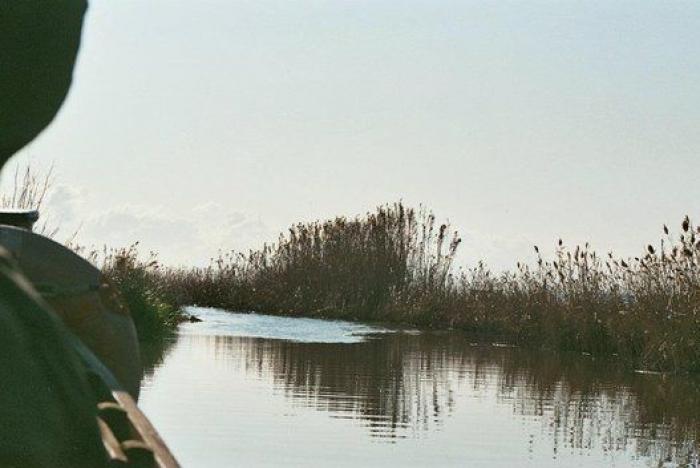 El mundo visto a través del agua: 10 impresionantes fotos de reflejos
