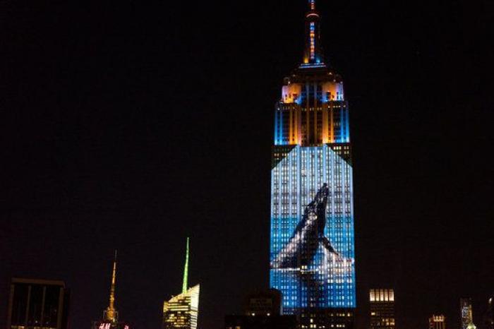 El Empire State se cubre de imágenes de animales en peligro de extinción (FOTOS)