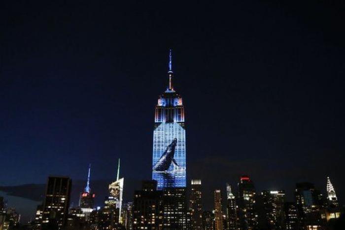 El Empire State se cubre de imágenes de animales en peligro de extinción (FOTOS)
