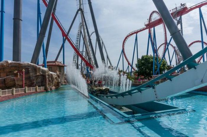 Trucos y remedios para no sufrir con los mosquitos este verano