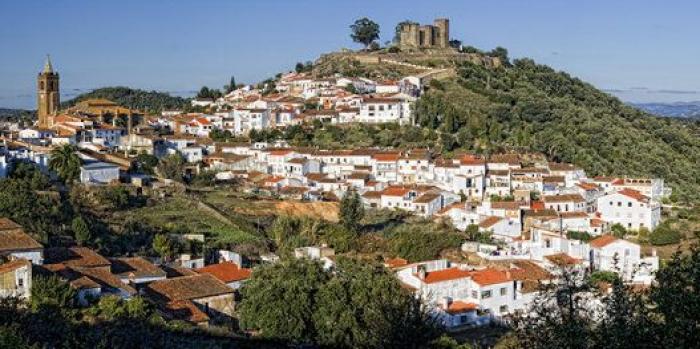 Trucos y remedios para no sufrir con los mosquitos este verano