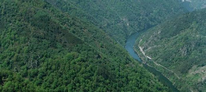Santo Estevo: por qué es el mejor Parador de España
