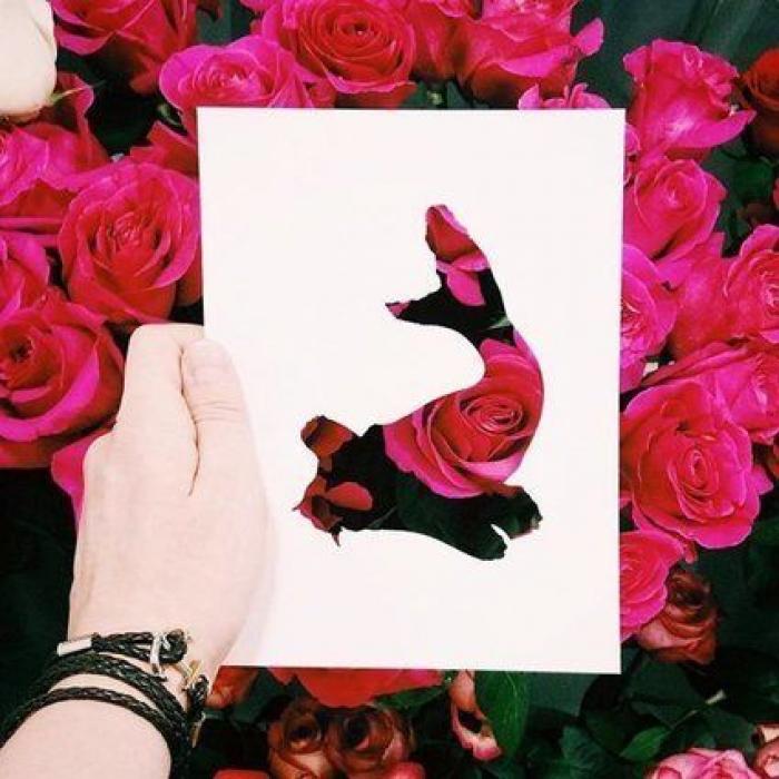 Con una hoja de papel y su amor por la naturaleza, este artista de Instagram crea las siluetas perfectas