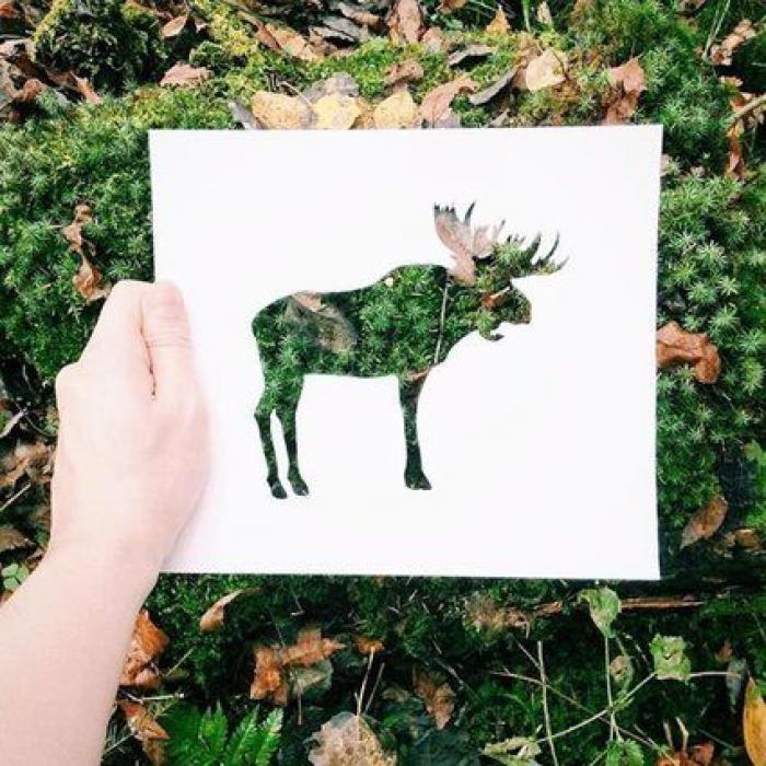 Con una hoja de papel y su amor por la naturaleza, este artista de Instagram crea las siluetas perfectas