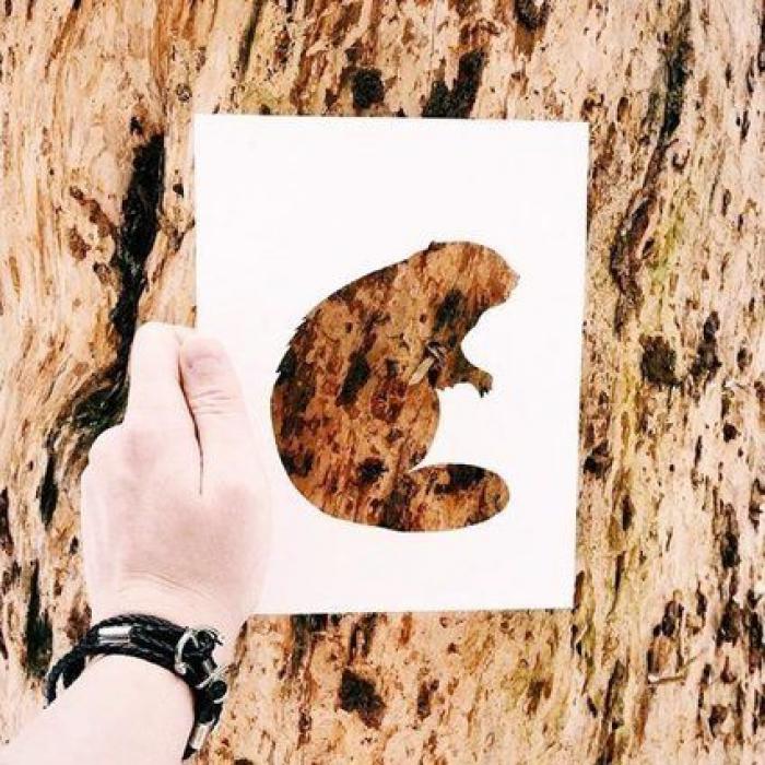 Con una hoja de papel y su amor por la naturaleza, este artista de Instagram crea las siluetas perfectas