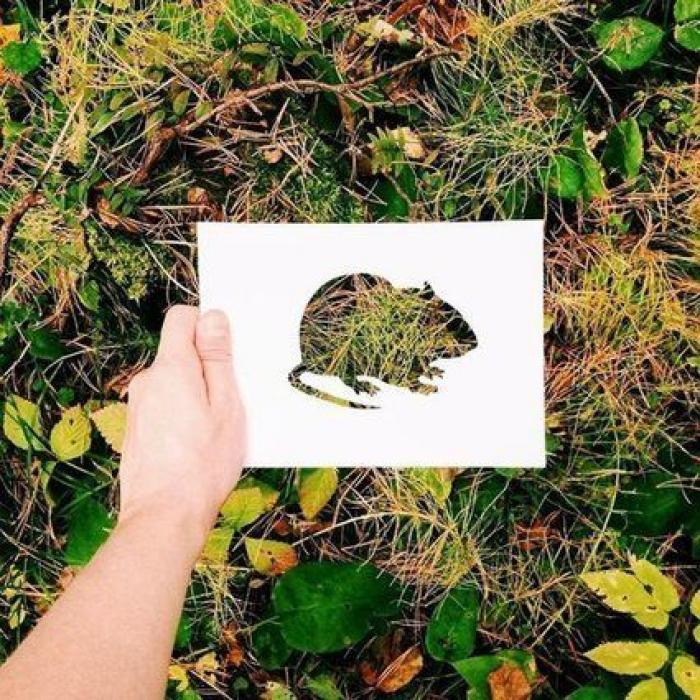 Con una hoja de papel y su amor por la naturaleza, este artista de Instagram crea las siluetas perfectas