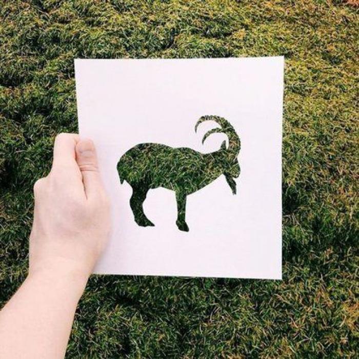 Con una hoja de papel y su amor por la naturaleza, este artista de Instagram crea las siluetas perfectas