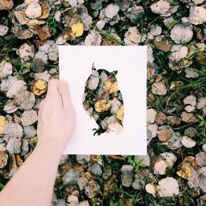 Con una hoja de papel y su amor por la naturaleza, este artista de Instagram crea las siluetas perfectas