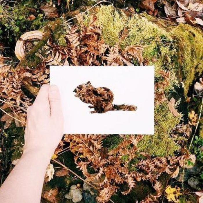 Con una hoja de papel y su amor por la naturaleza, este artista de Instagram crea las siluetas perfectas