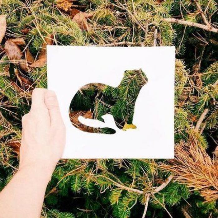 Con una hoja de papel y su amor por la naturaleza, este artista de Instagram crea las siluetas perfectas