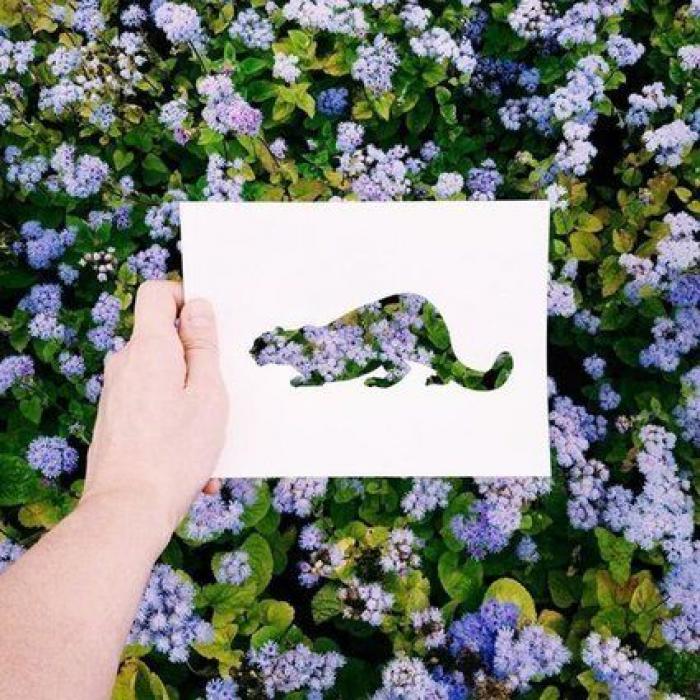 Con una hoja de papel y su amor por la naturaleza, este artista de Instagram crea las siluetas perfectas