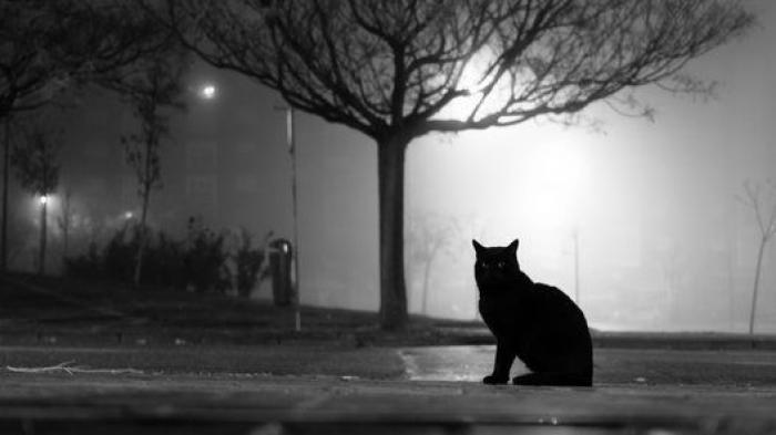 David Meca relata lo que le ha ocurrido a su madre en Madrid: "No soy racista, pero..."