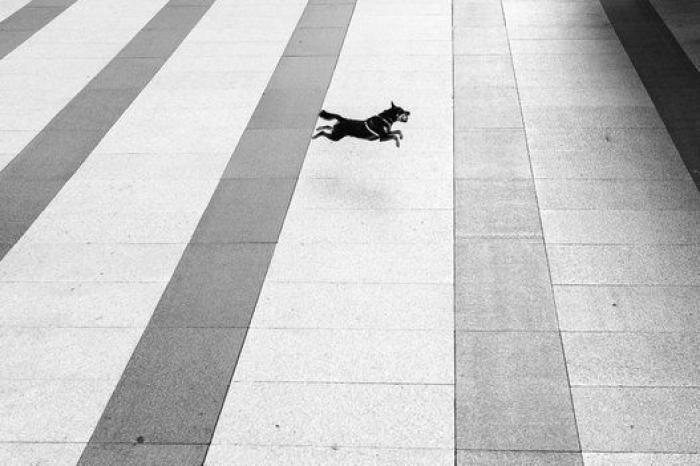 David Meca relata lo que le ha ocurrido a su madre en Madrid: "No soy racista, pero..."