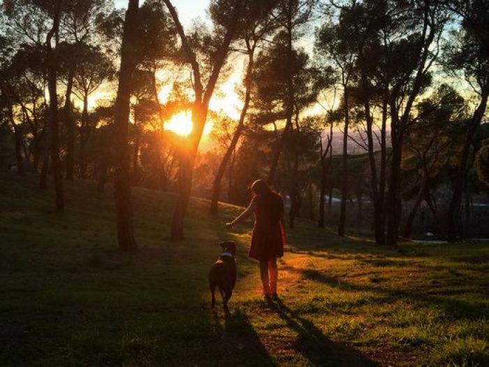 David Meca relata lo que le ha ocurrido a su madre en Madrid: "No soy racista, pero..."