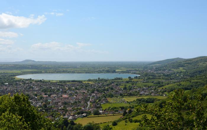 Sanidad alerta de la presencia de listeria en un queso distribuido en Andalucía