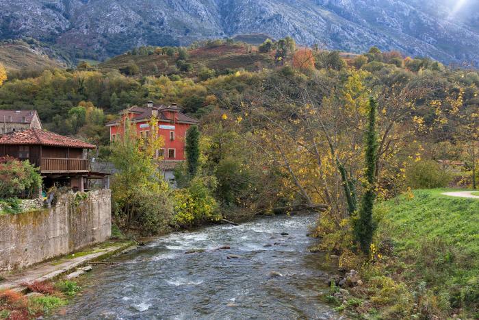Sanidad alerta de la presencia de listeria en un queso distribuido en Andalucía