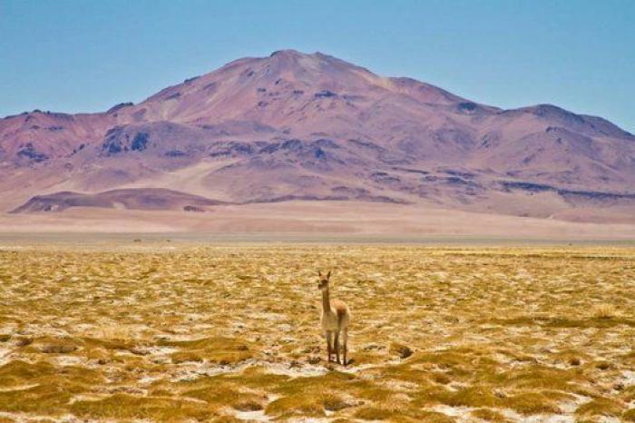Los salares más impresionantes del mundo