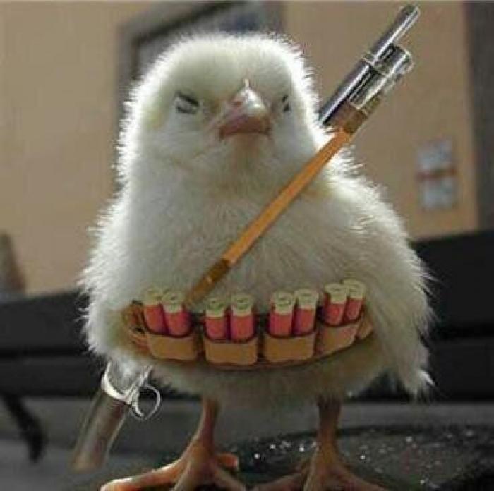 EPA primer trimestre de 2013: 6.202.700 desempleados, nuevo récord histórico