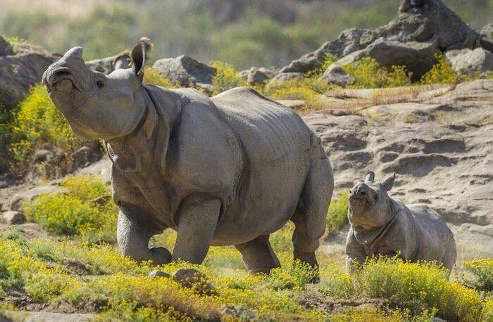 Los bichinos de la semana (FOTOS)