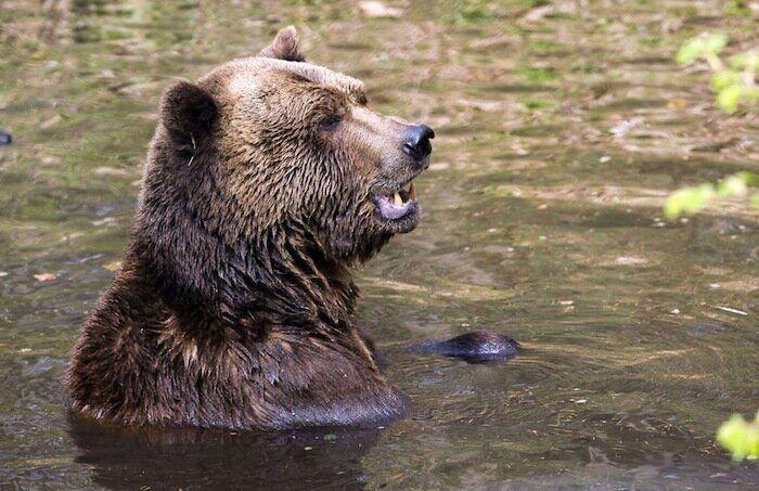 Los bichinos de la semana (FOTOS)