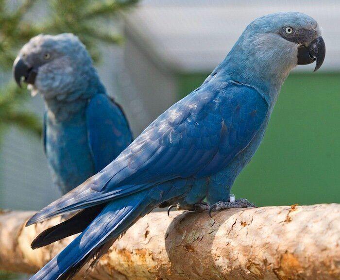 Los bichinos de la semana (FOTOS)