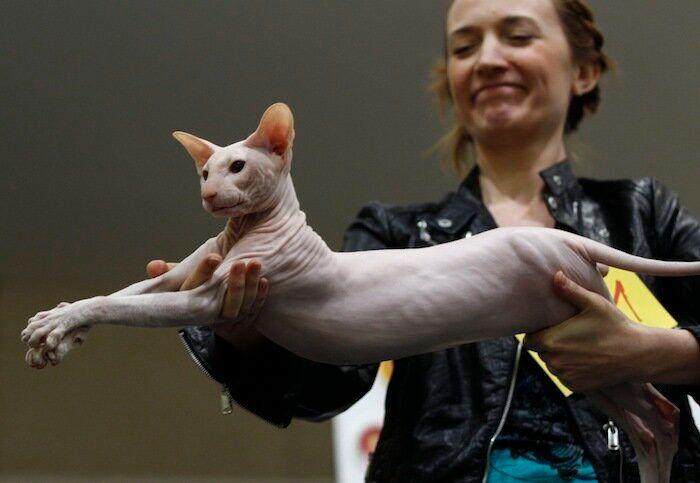 Los bichinos de la semana (FOTOS)