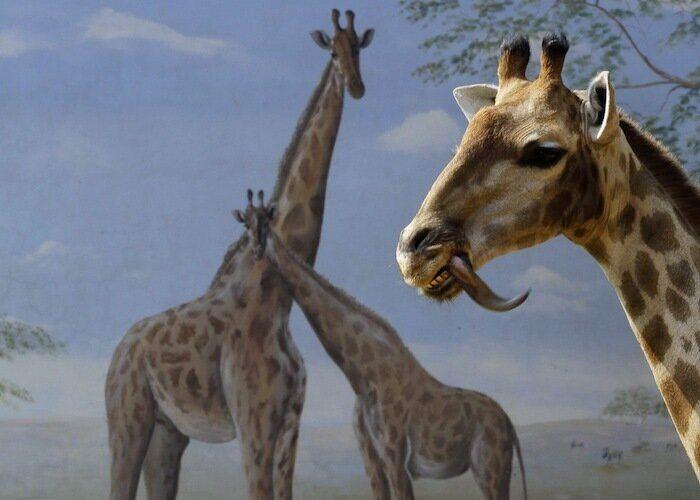 Los bichinos de la semana (FOTOS)