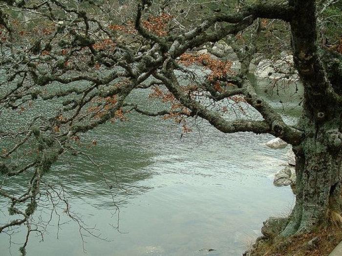 El ser humano es el único animal que disfruta pasando miedo: y hay un Netflix SOLO para los amantes del terror