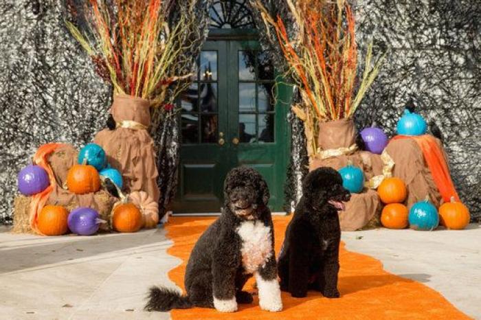 Halloween 2015: la gran fiesta de los Obama en la Casa Blanca