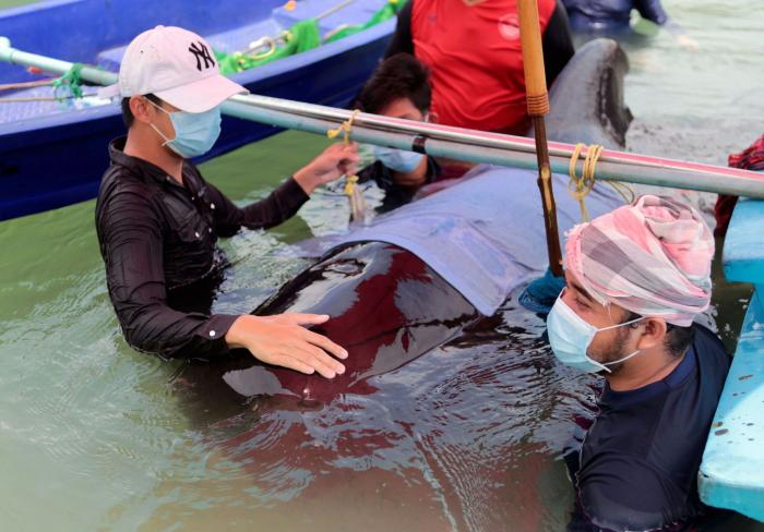 Pajitas, bastoncillos y platos de plástico, prohibidos desde hoy en toda la UE