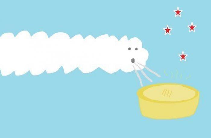 Tarrant se declara no culpable por la masacre supremacista en Nueva Zelanda