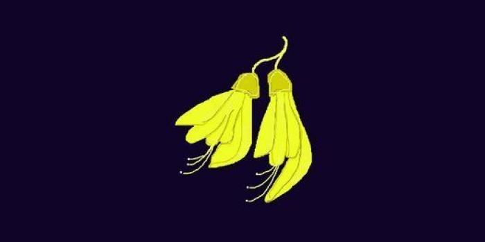 Tarrant se declara no culpable por la masacre supremacista en Nueva Zelanda