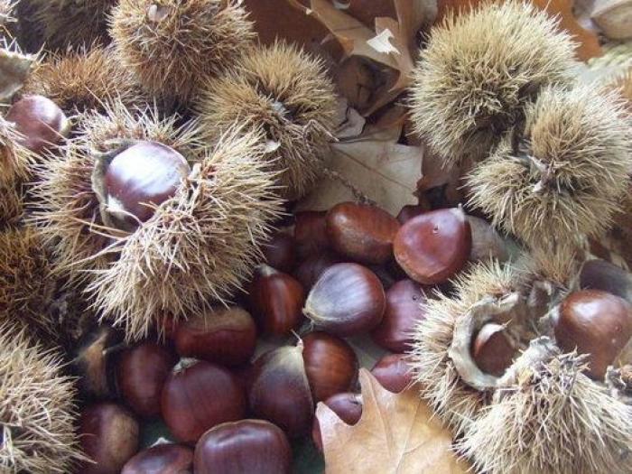 20 recetas con castañas para saborear el otoño (FOTOS)