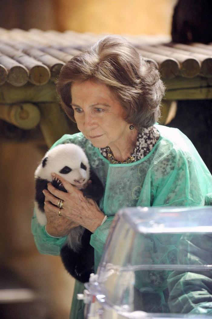 Detenidos dos empleados del Zoo de Madrid que estafaron un millón de euros con la venta de entradas