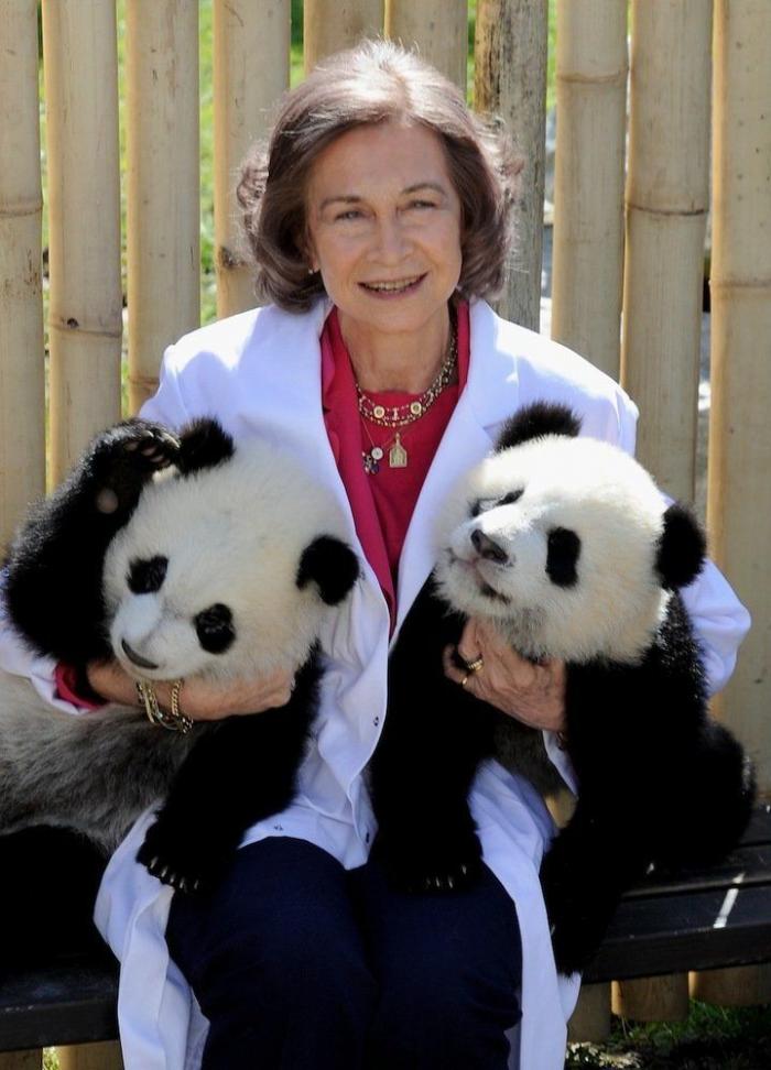 Detenidos dos empleados del Zoo de Madrid que estafaron un millón de euros con la venta de entradas