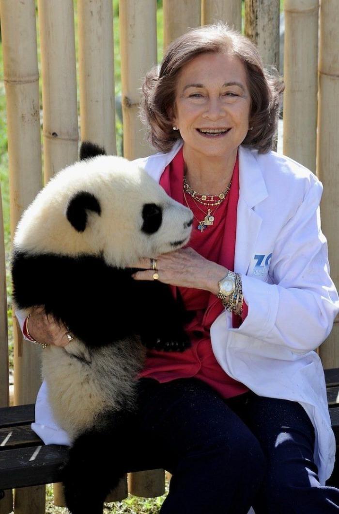 Detenidos dos empleados del Zoo de Madrid que estafaron un millón de euros con la venta de entradas