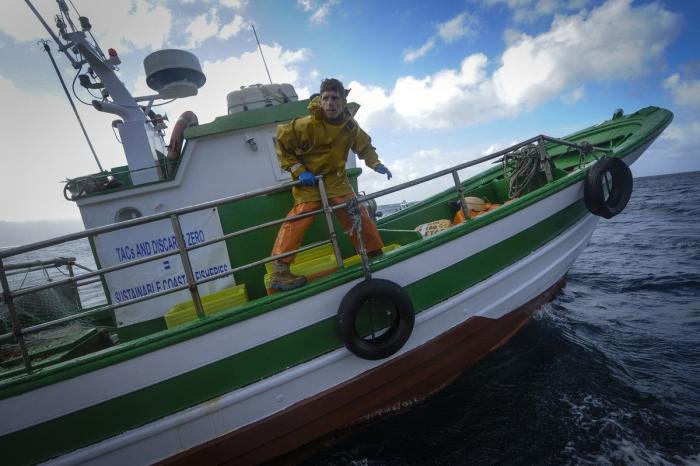 Anisakis: qué es, cómo afecta a la salud y en qué pescados anida el parásito