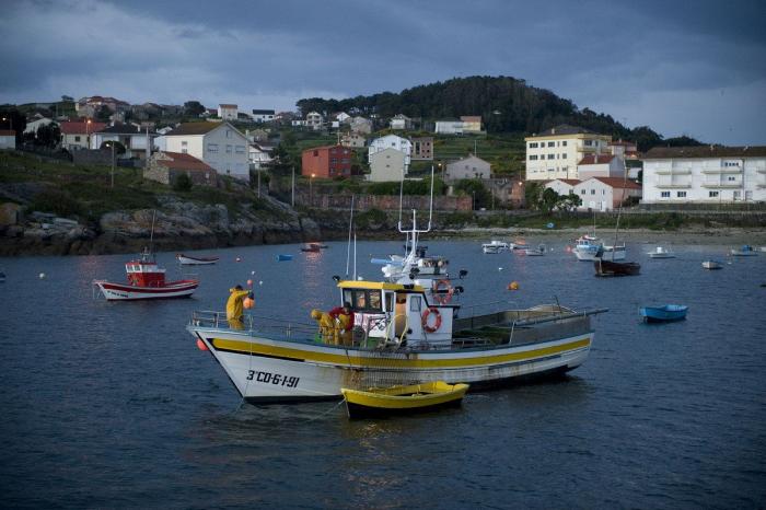 Anisakis: qué es, cómo afecta a la salud y en qué pescados anida el parásito