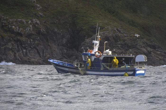 Anisakis: qué es, cómo afecta a la salud y en qué pescados anida el parásito